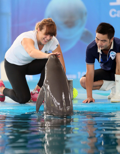 便牢牢占据 便牢牢占据